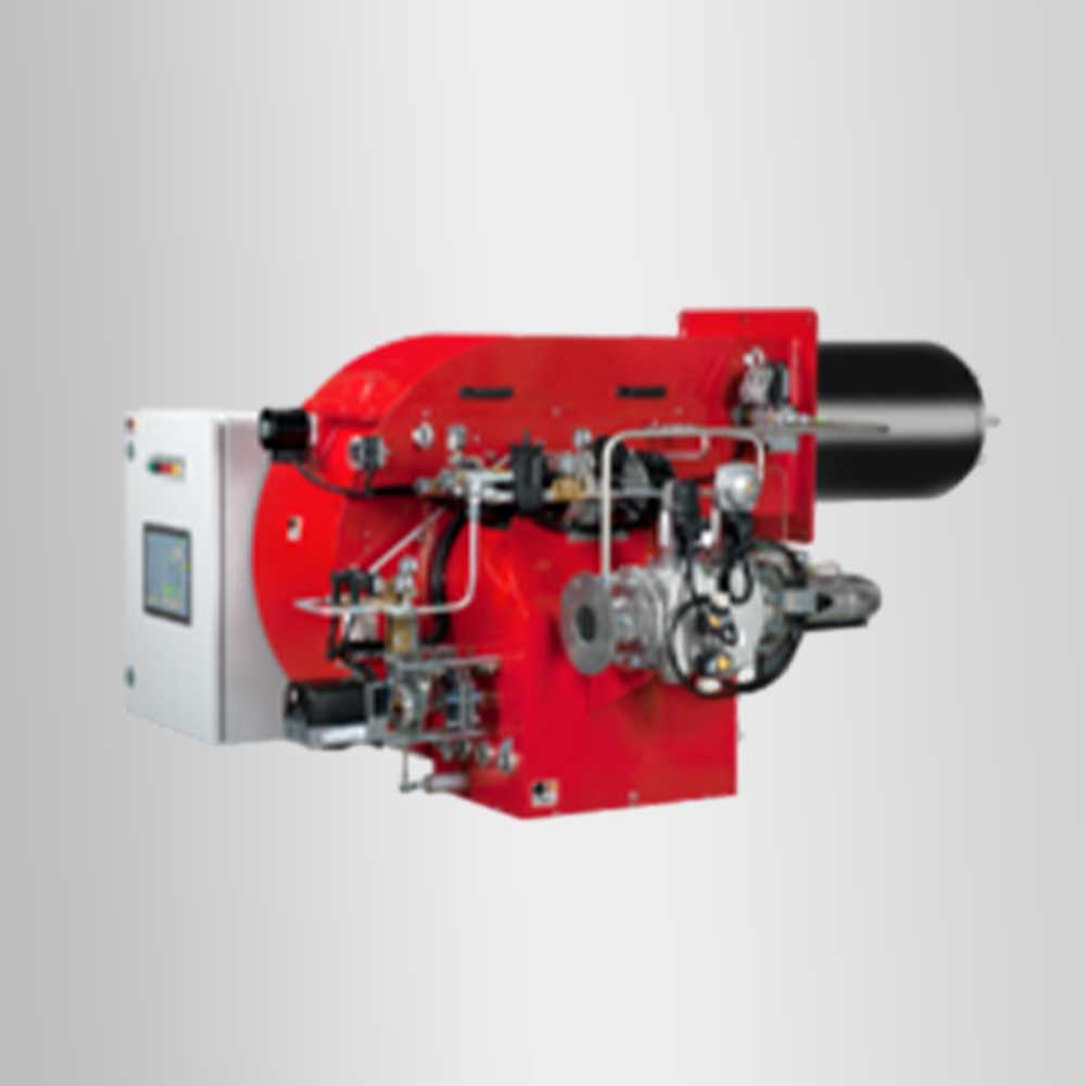dual fuel burner