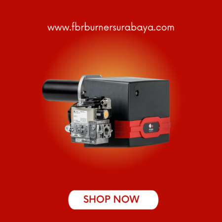 DUAL FUEL GAS LIGHT OIL SINGLE STAGE - FBR Burner Surabaya DUAL FUEL GAS LIGHT OIL SINGLE STAGE